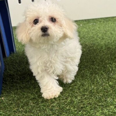 Stroller Accessories Test 712