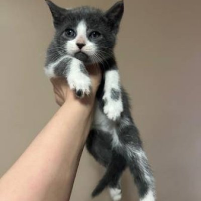 Galaxy S10 Lite Test 379