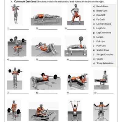 Sports Equipment Test 5428