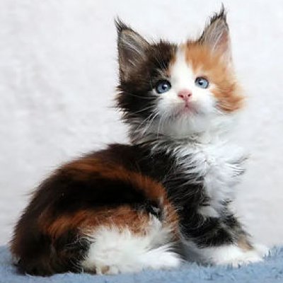 Computer Components Test 4823