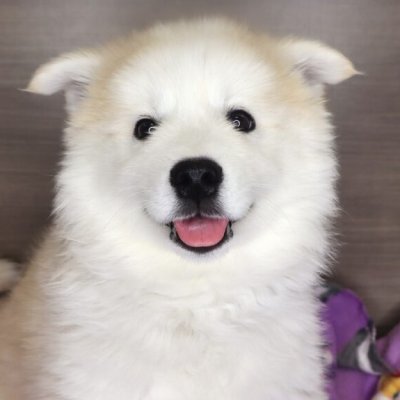 Networking Cables Test 97