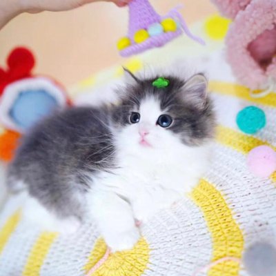 ساعات للرجال تجربة 591