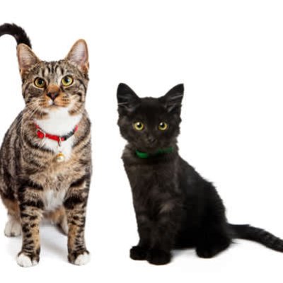 Other Mobile Phones & Tablets Test 5450