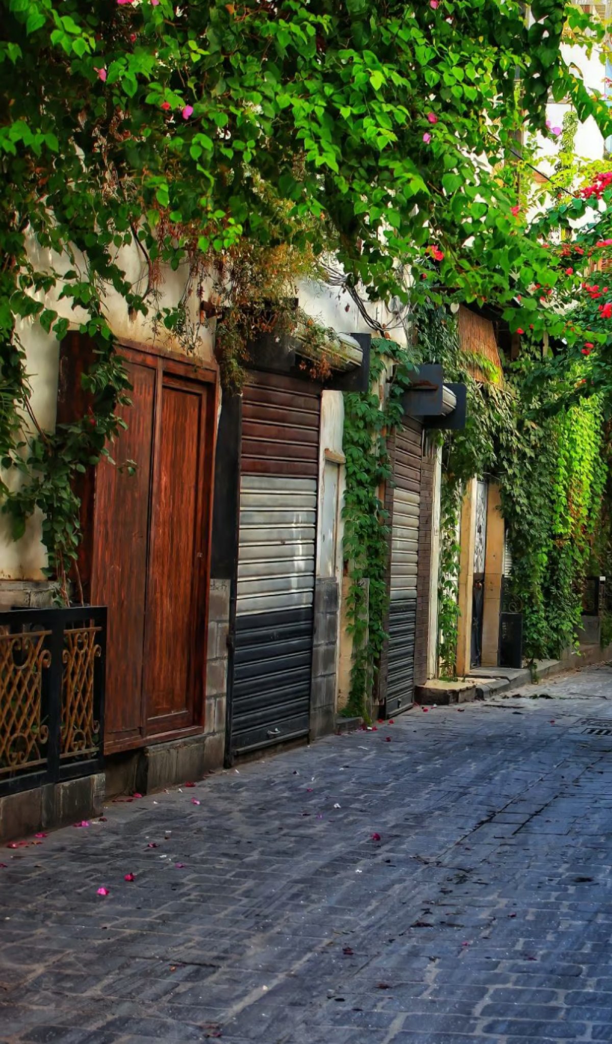 4Runner for sale - image 4