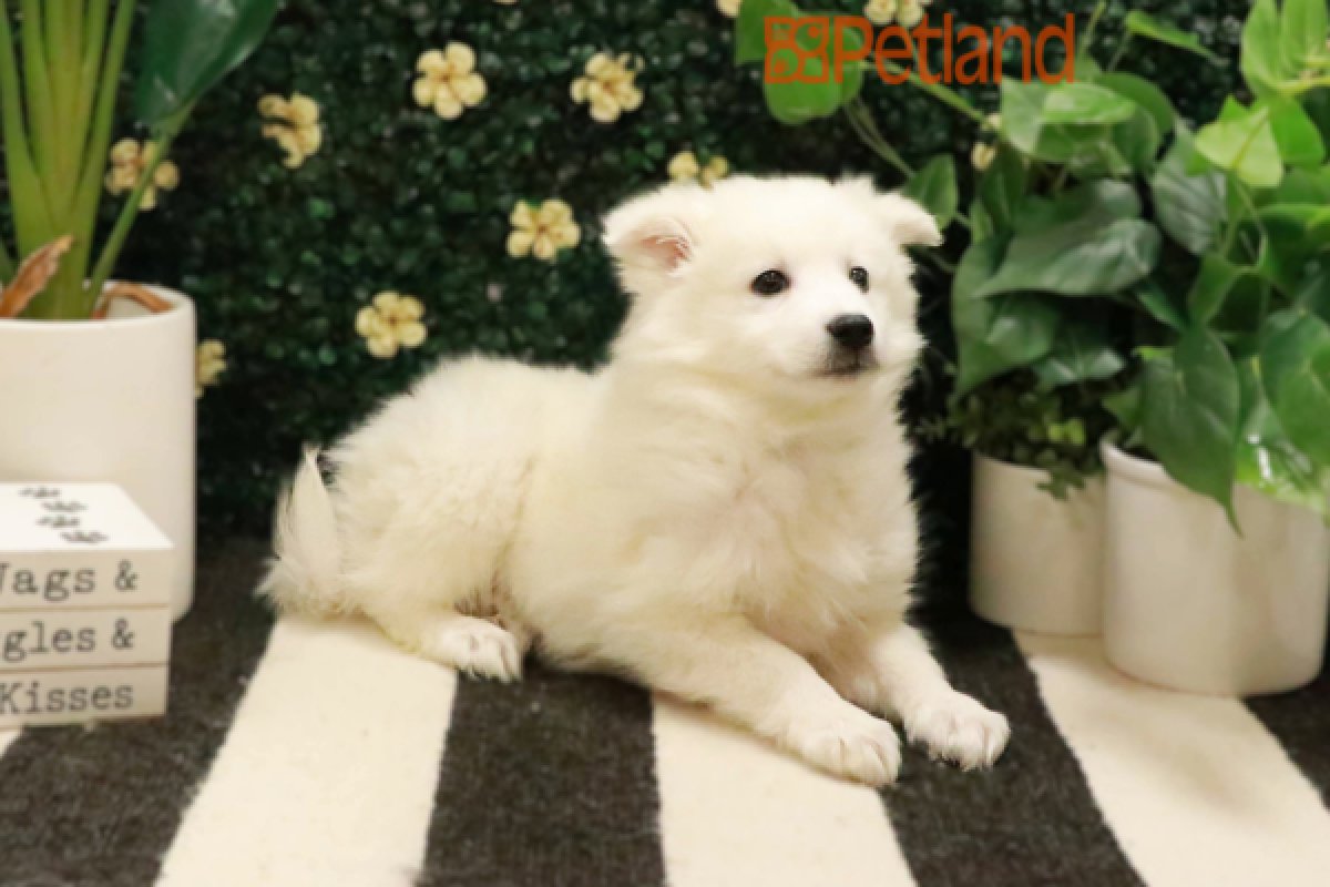 Televisions Test 2965 - image 3