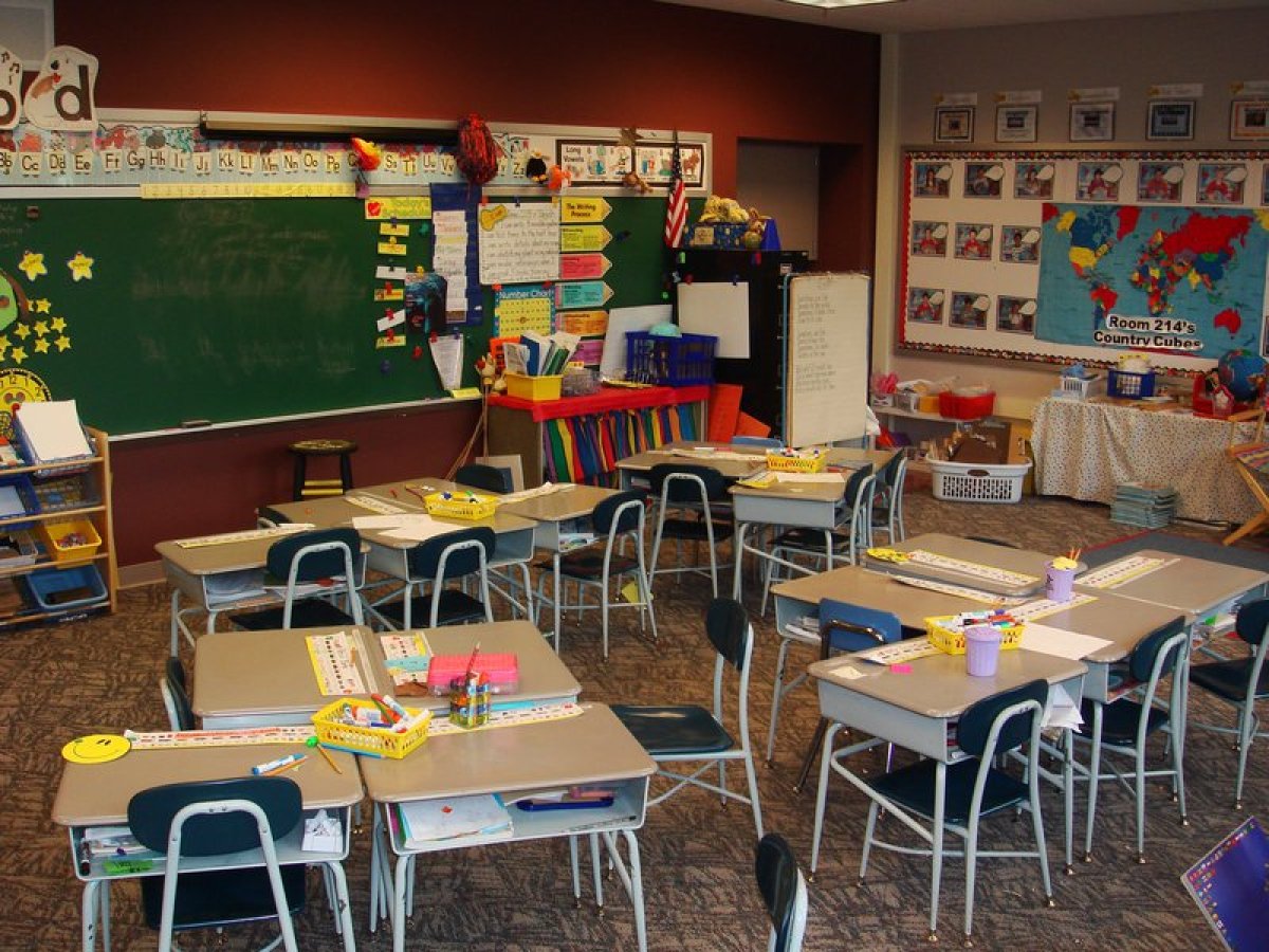 Party Rentals & Supplies Test 3635 - image 1