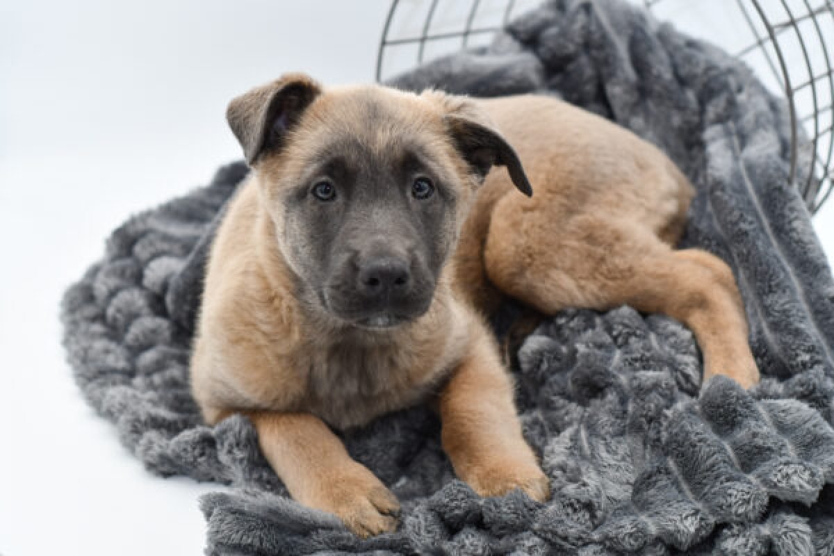 Clothing Test 3023 - image 2