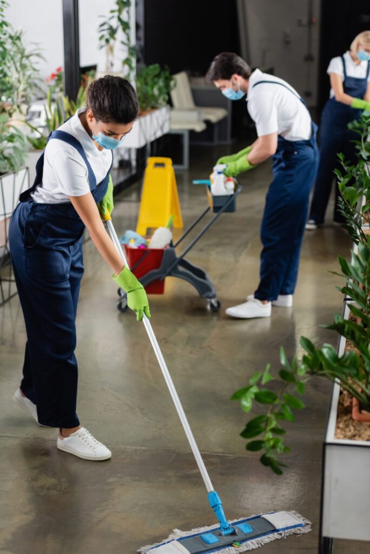 Home Maintenance Test 5483 - image 2