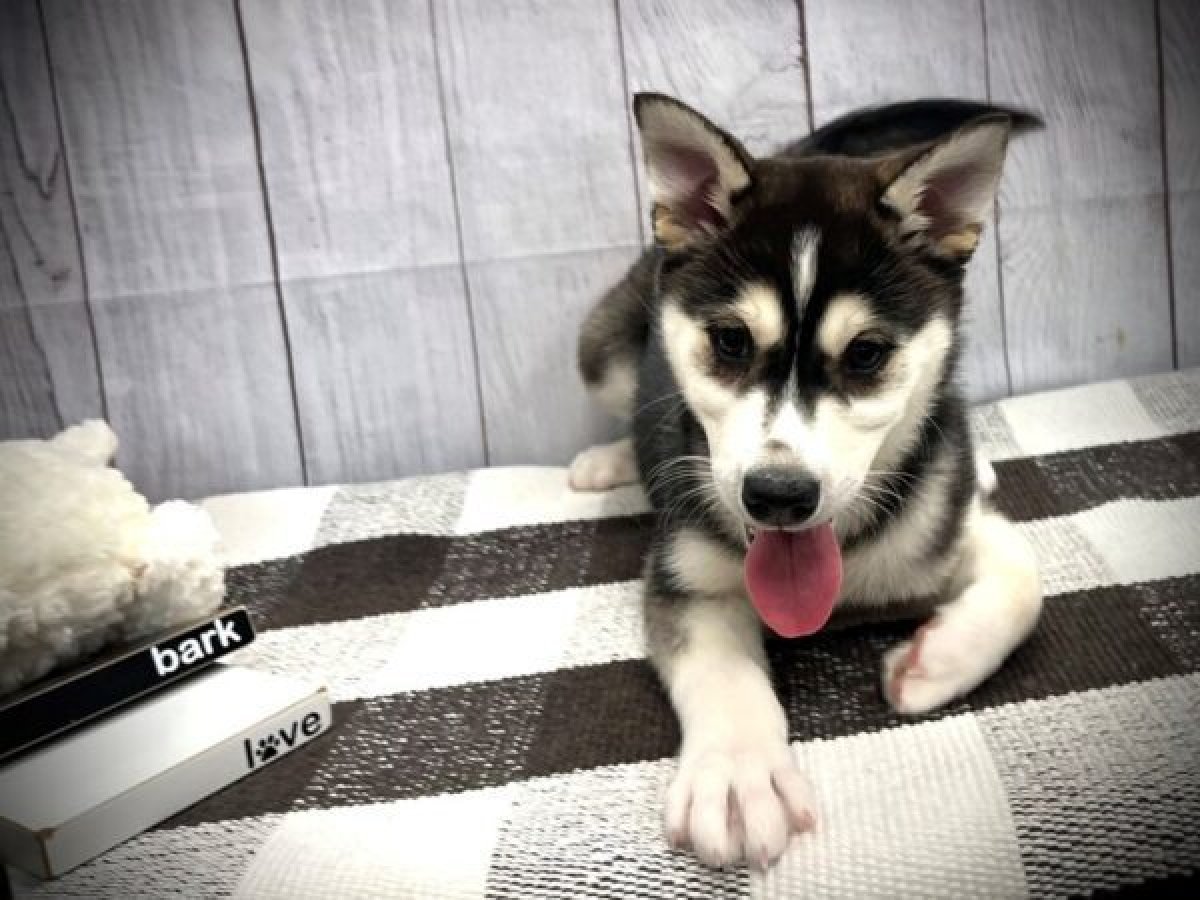 Other Test 3545 - image 4