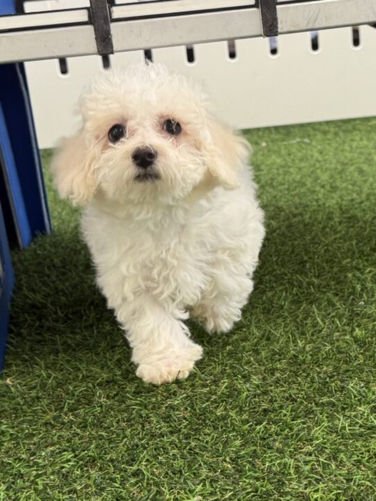 Safety & Health Test 3078 - image 1