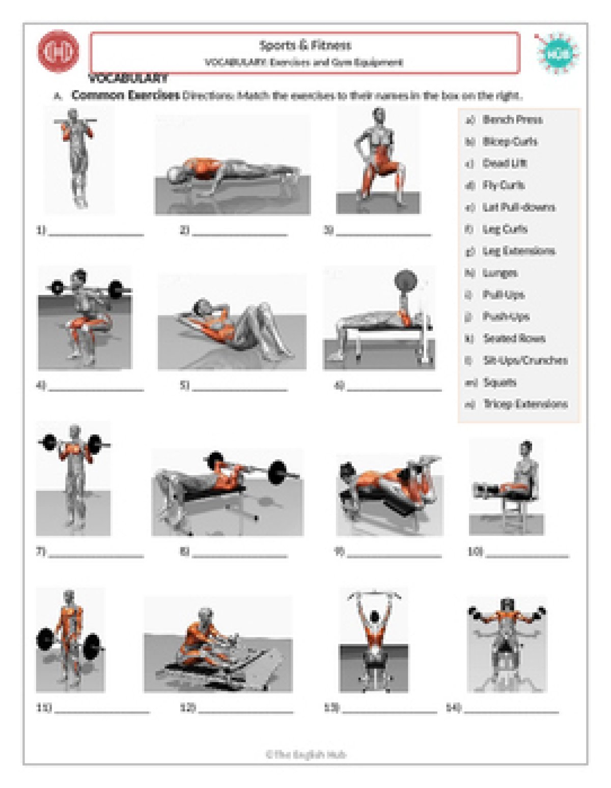 Hobbies Test 4924 - image 1